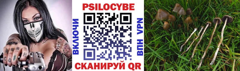 купить наркотики цена  Яровое  ссылка на мегу онион  Галлюциногенные грибы Psilocybe 